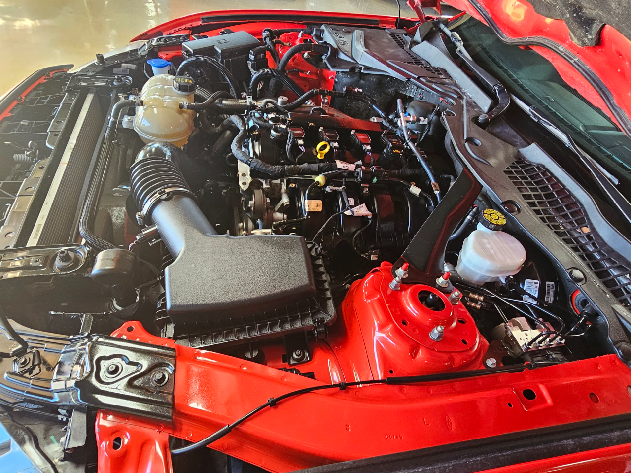 Ford Mustang EcoBoost Convertible 2023