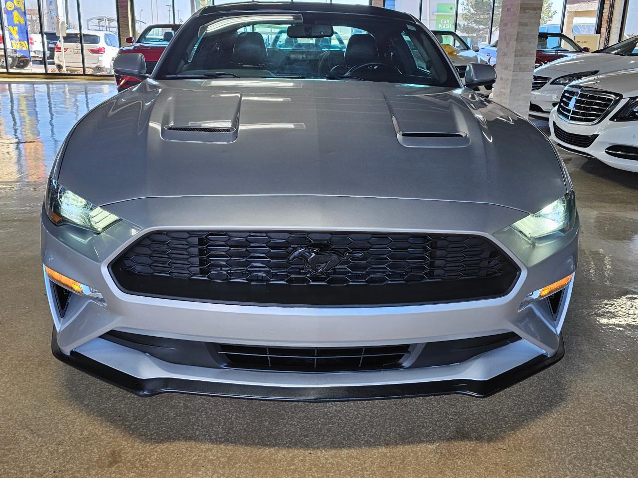 Ford Mustang EcoBoost Fastback 2019