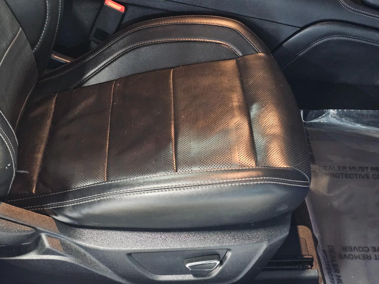 Ford Mustang EcoBoost Fastback 2019