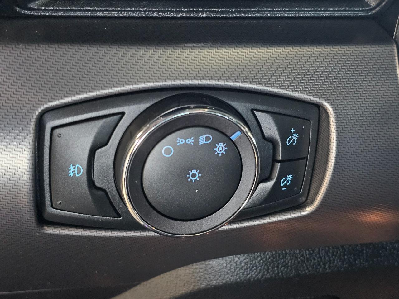 Ford Mustang EcoBoost Fastback 2019