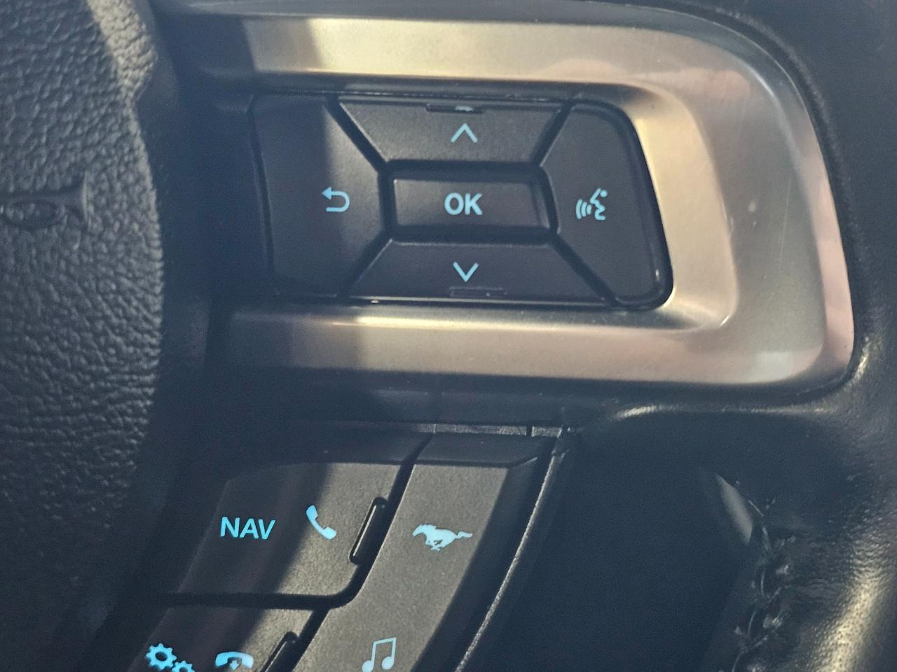 Ford Mustang EcoBoost Fastback 2019