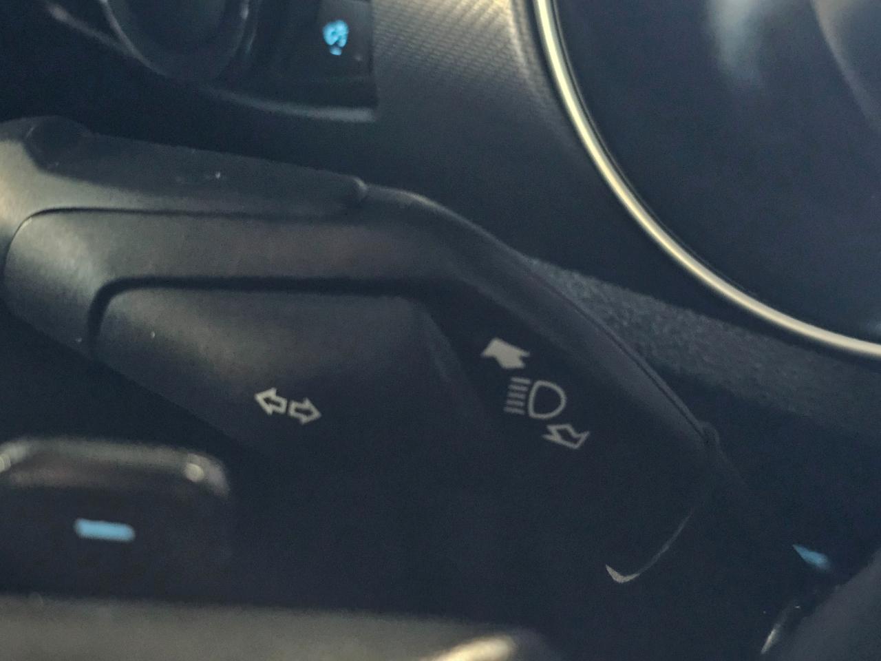 Ford Mustang EcoBoost Fastback 2019