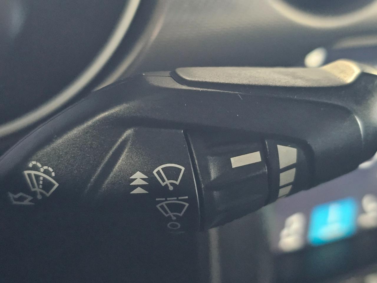 Ford Mustang EcoBoost Fastback 2019