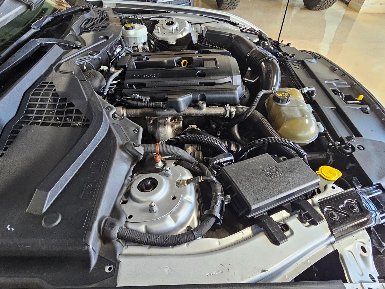 Ford Mustang EcoBoost Fastback 2019