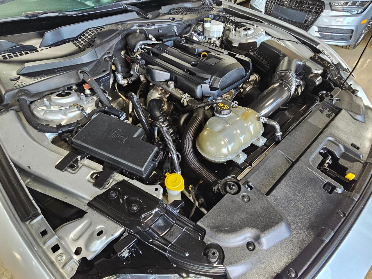 Ford Mustang EcoBoost Fastback 2019