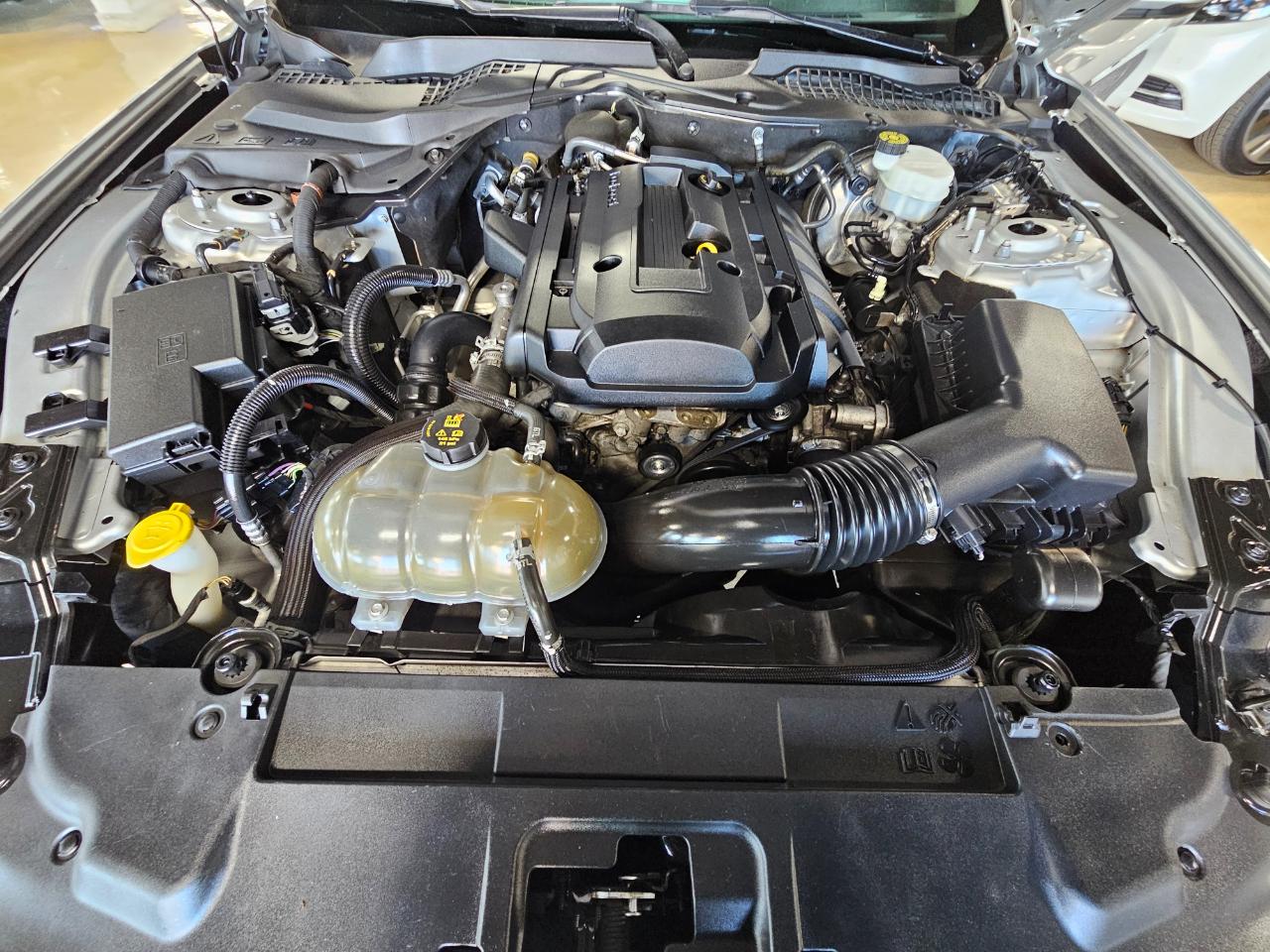 Ford Mustang EcoBoost Fastback 2019