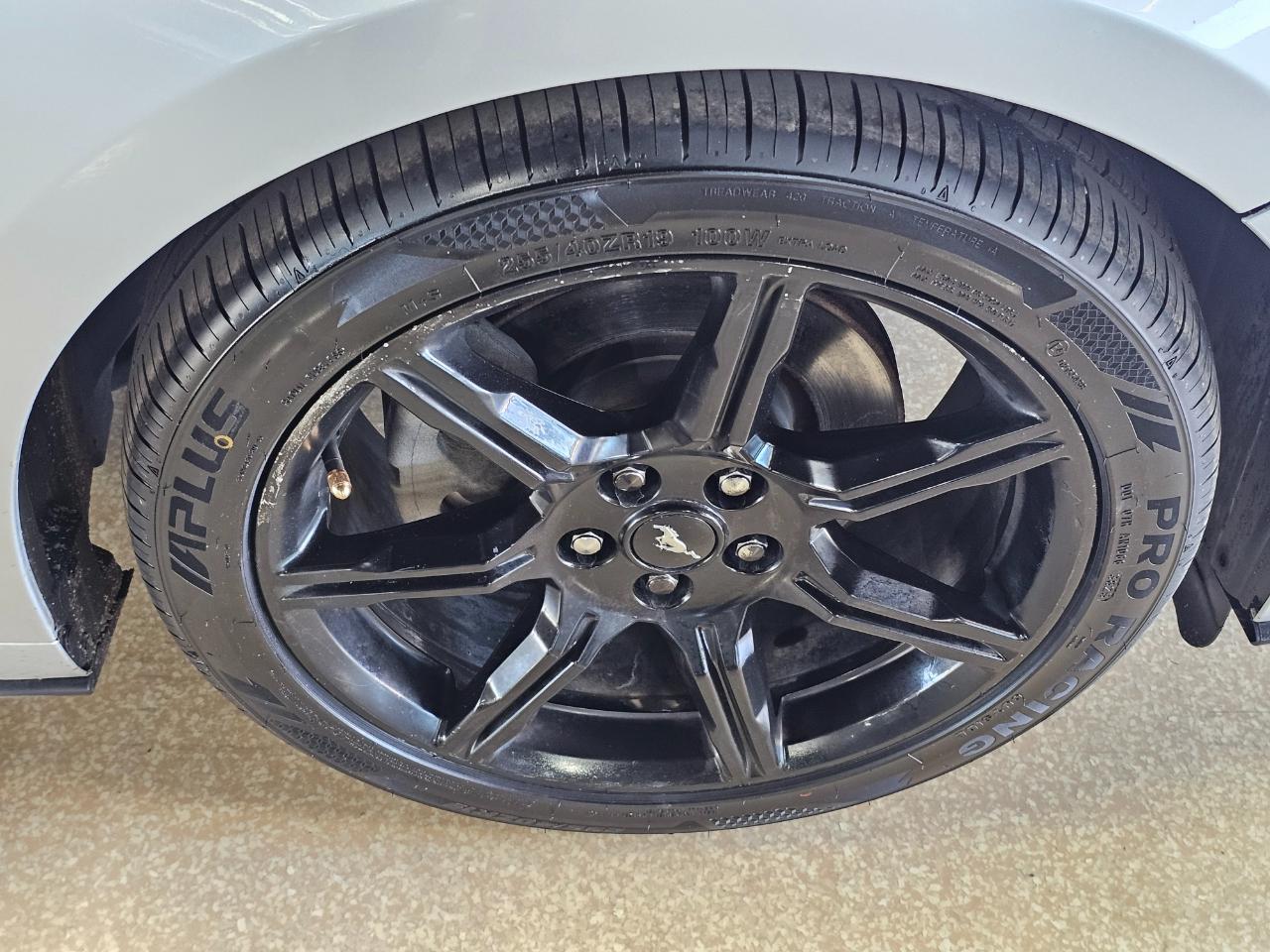 Ford Mustang EcoBoost Fastback 2019