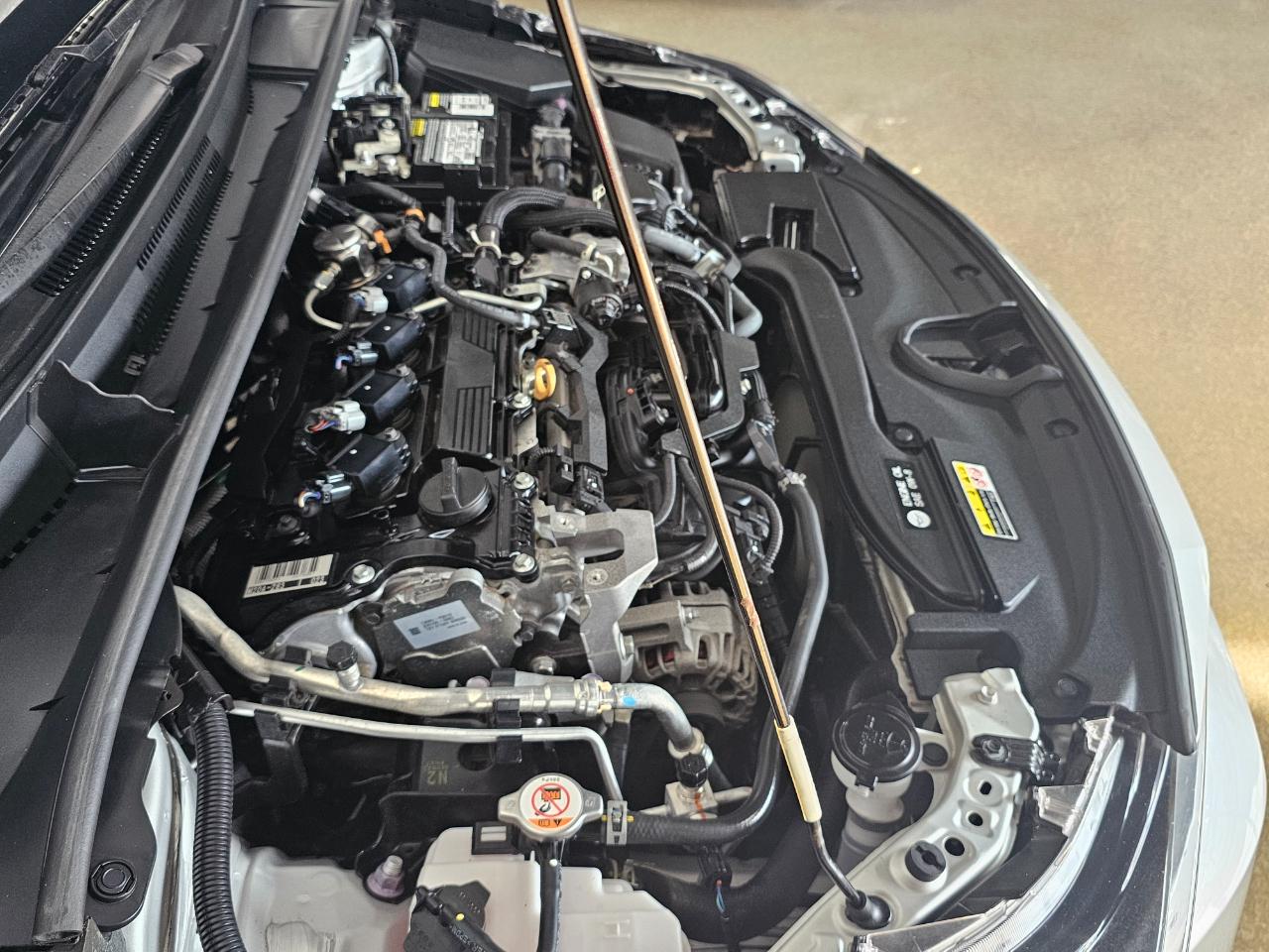 Toyota Corolla LE CVT (Natl) 2023