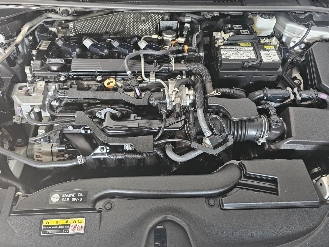 Toyota Corolla LE CVT (Natl) 2023