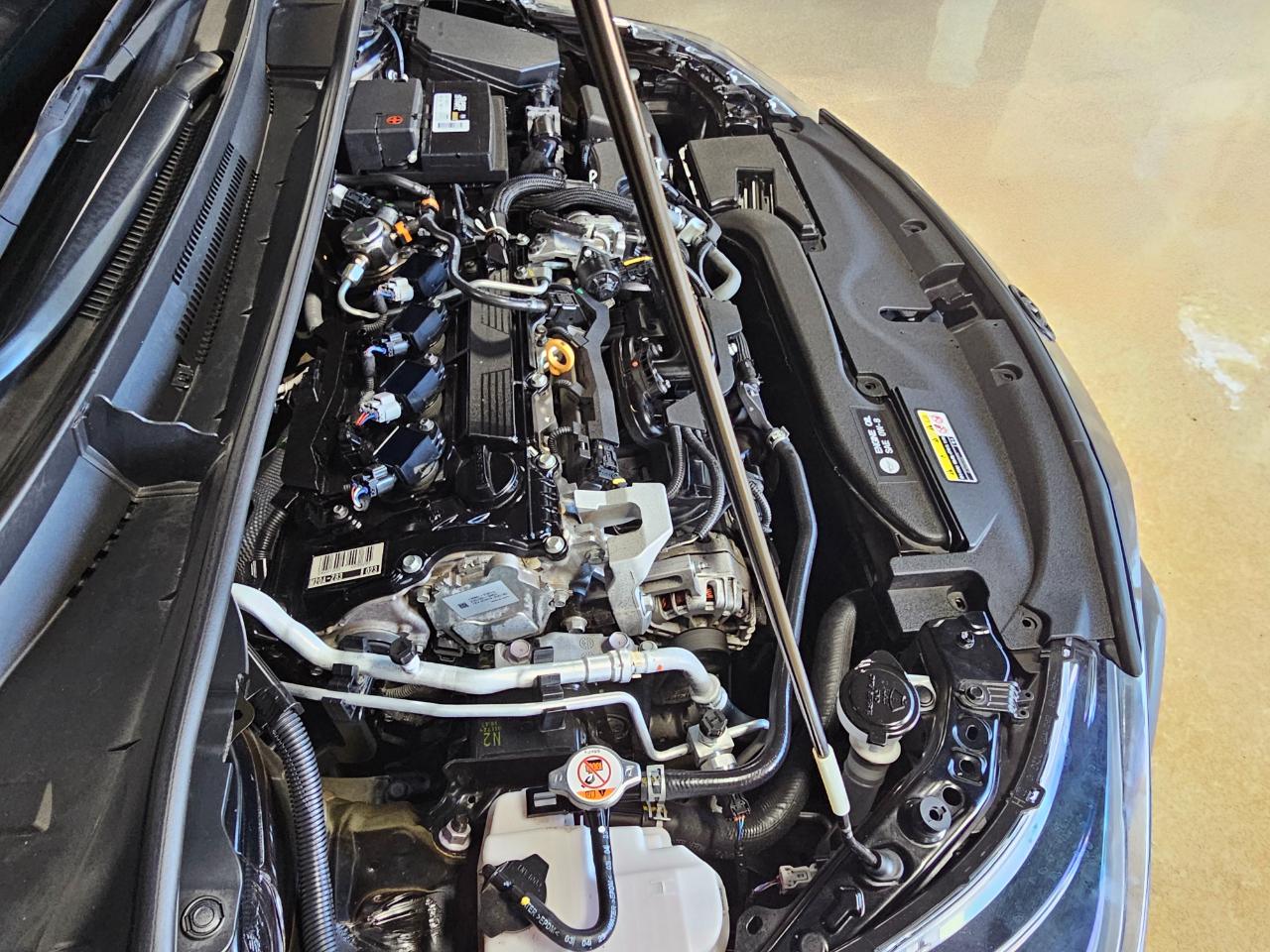 Toyota Corolla SE CVT (Natl) 2024