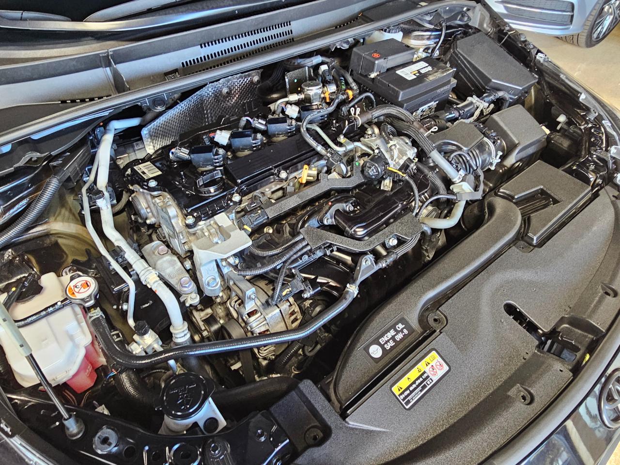 Toyota Corolla SE CVT (Natl) 2024