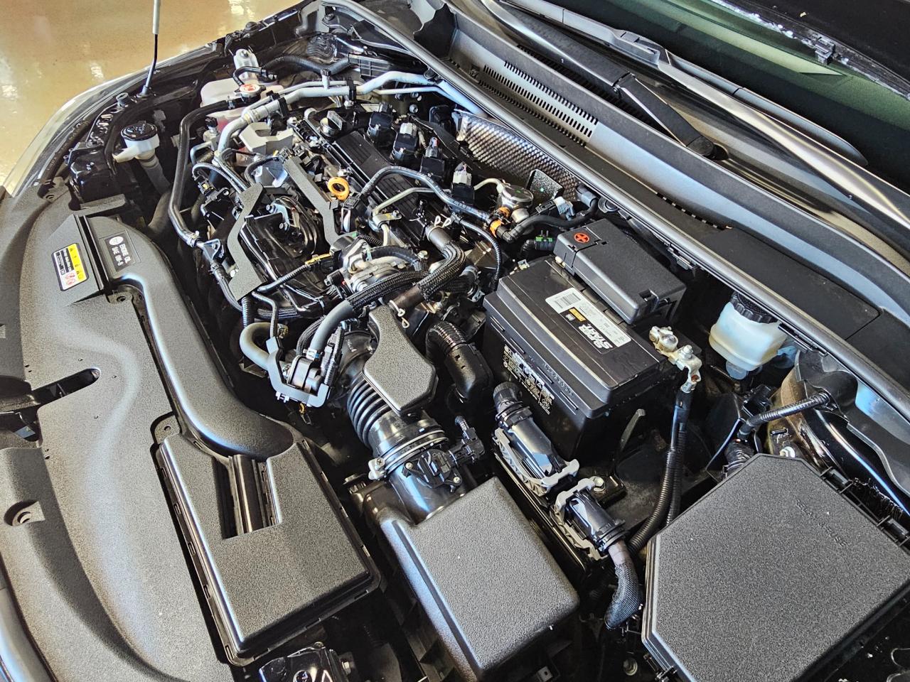 Toyota Corolla SE CVT (Natl) 2024