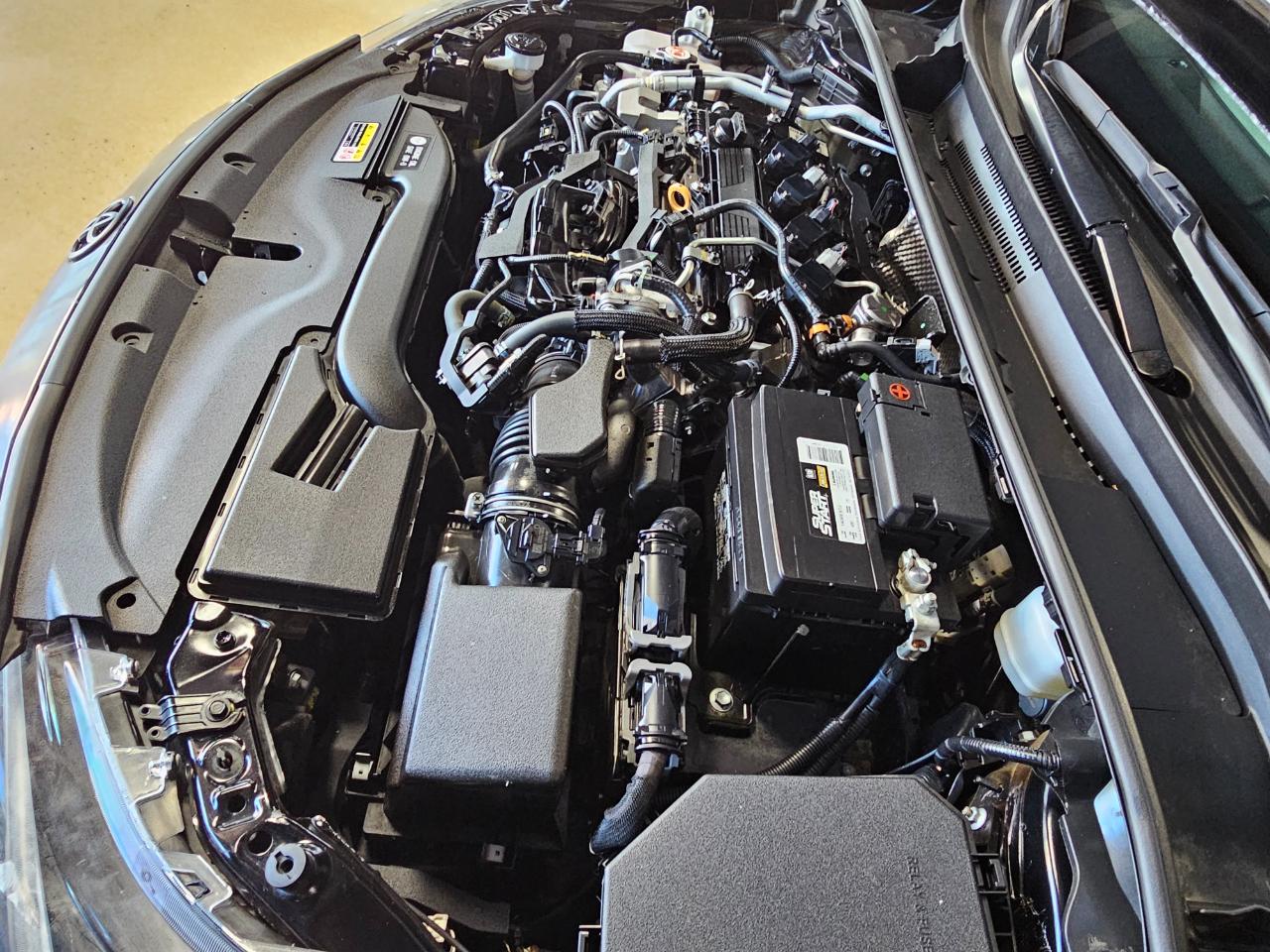 Toyota Corolla SE CVT (Natl) 2024