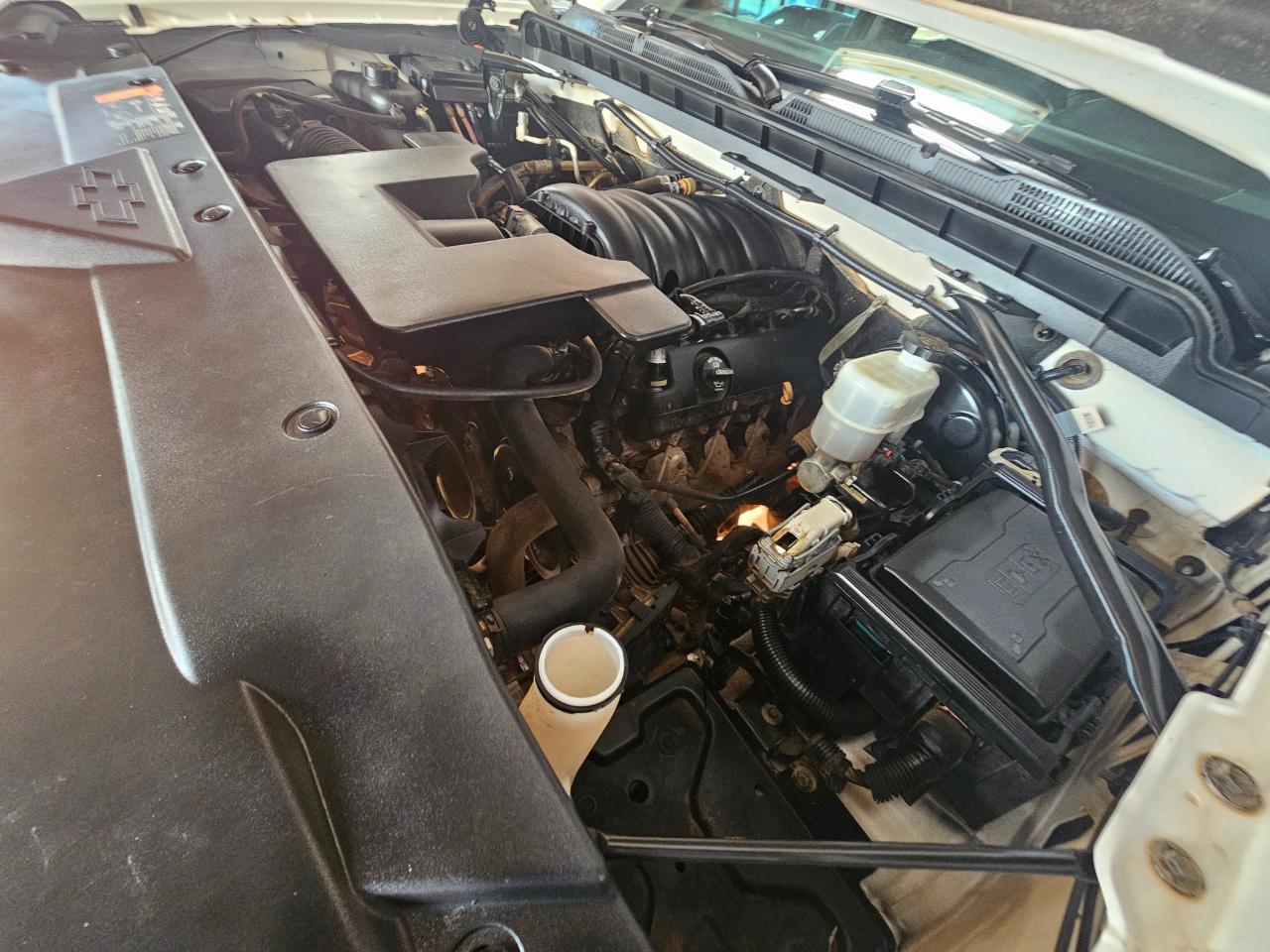 Chevrolet Silverado 1500 LD 4WD Double Cab Work Truck 2019