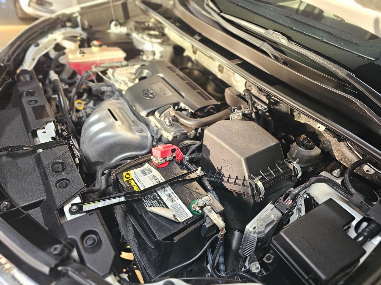 Toyota RAV4 FWD 4dr XLE (Natl) 2016