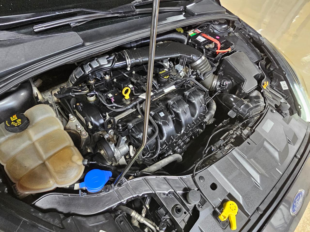 Ford Focus ST Hatch 2017