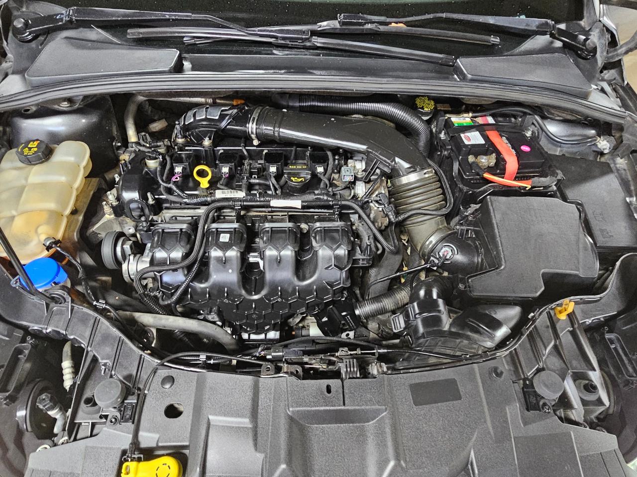 Ford Focus ST Hatch 2017