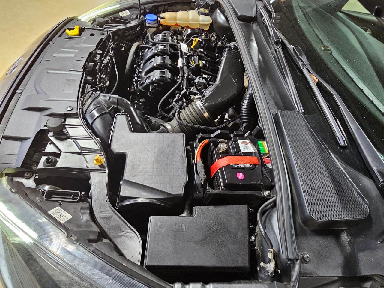 Ford Focus ST Hatch 2017