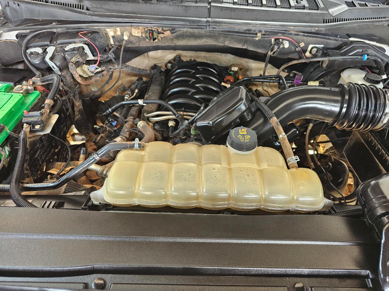 Ford F-150 XL 4WD SuperCrew 5.5' Box 2020