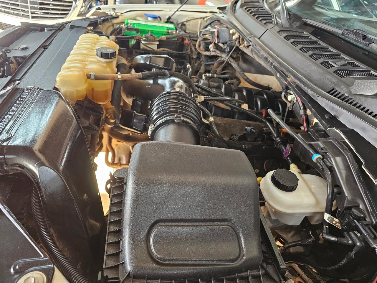 Ford F-150 XL 4WD SuperCrew 5.5' Box 2020