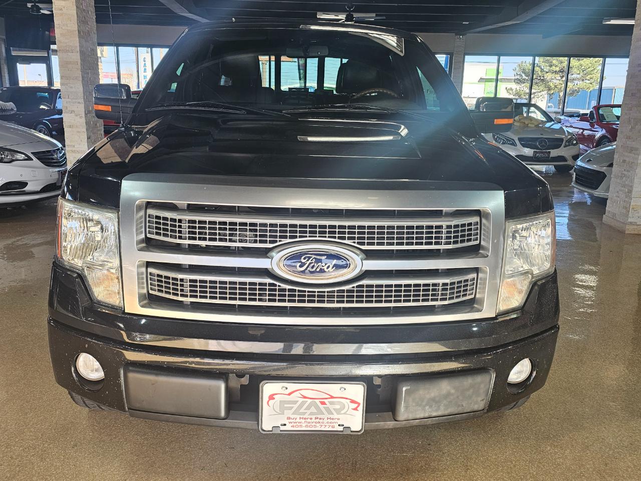 Ford F-150 2WD SuperCrew 145" Platinum 2010