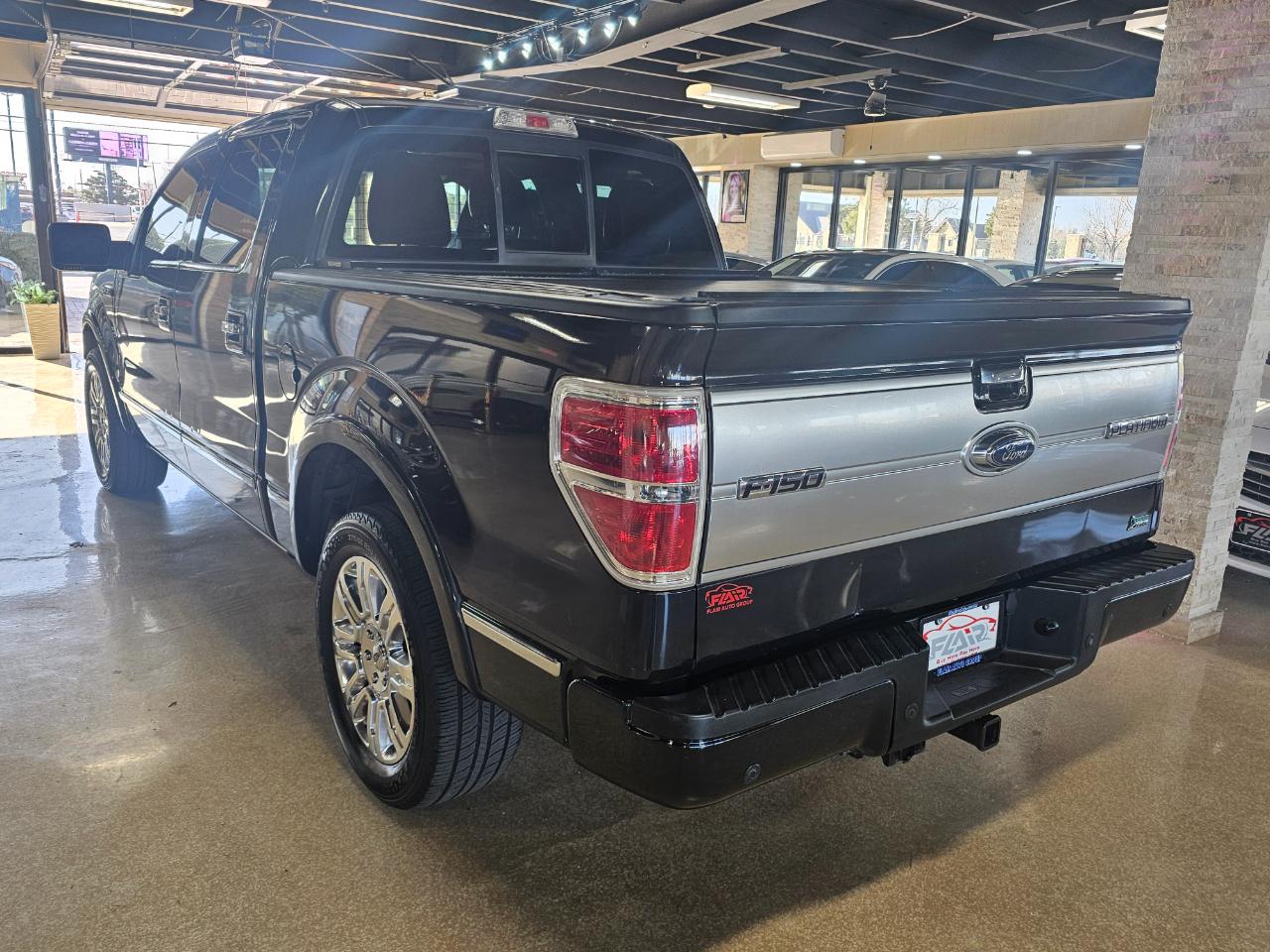 Ford F-150 2WD SuperCrew 145" Platinum 2010