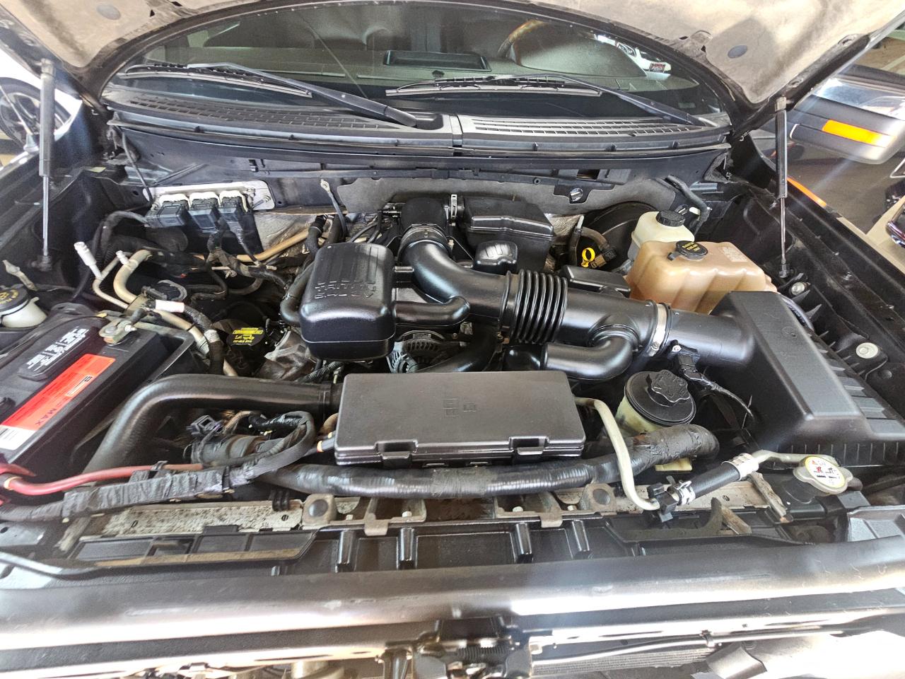 Ford F-150 2WD SuperCrew 145" Platinum 2010