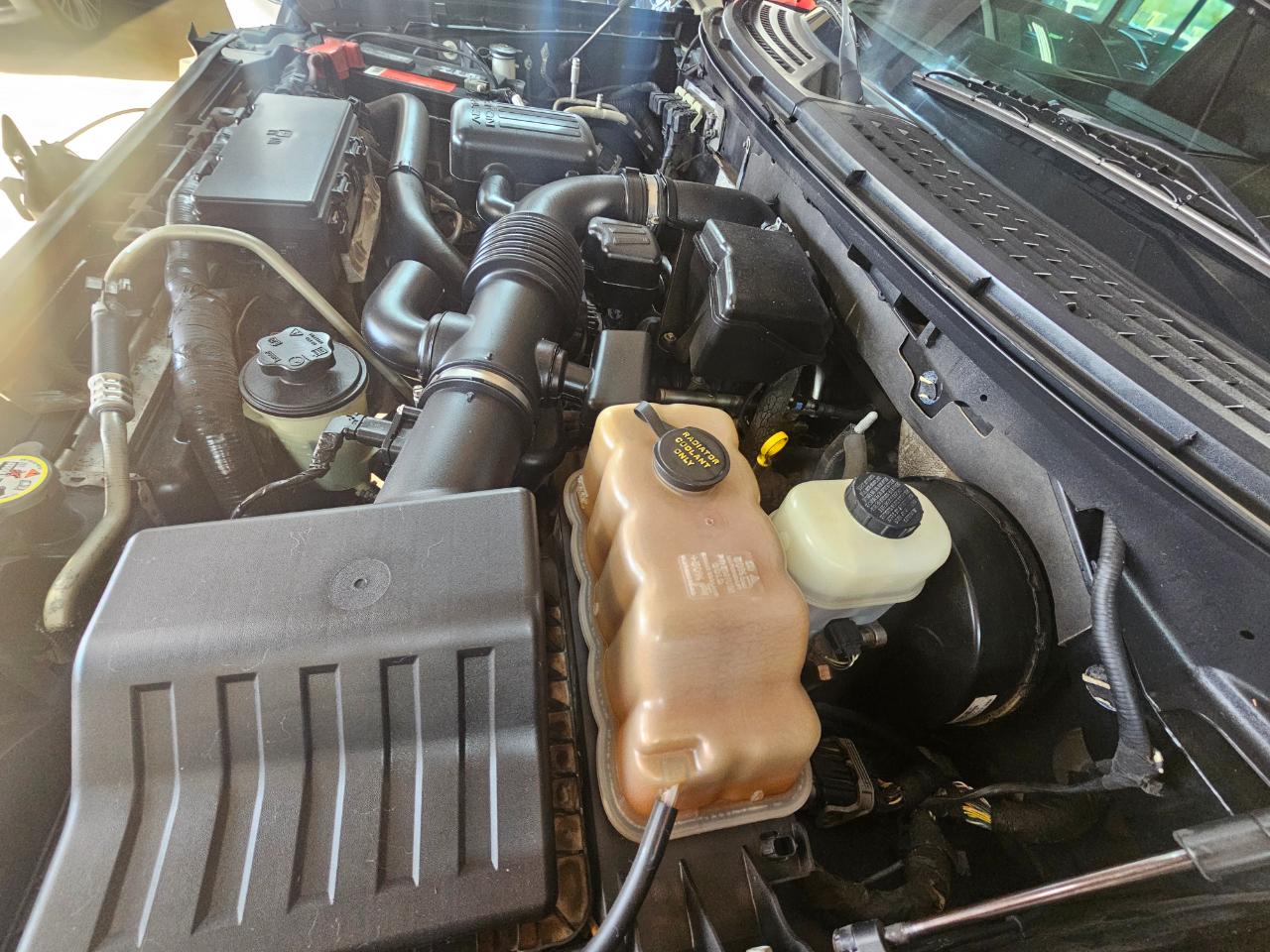 Ford F-150 2WD SuperCrew 145" Platinum 2010