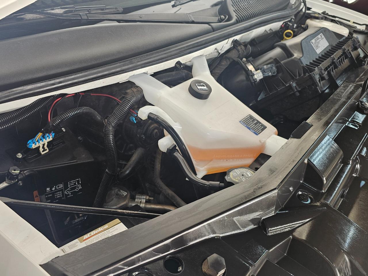 Chevrolet Express Cargo Van RWD 3500 155" 2022