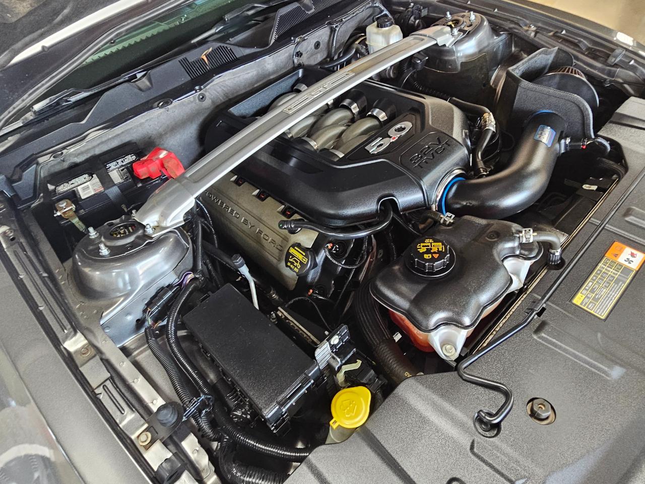 Ford Mustang 2dr Cpe GT 2013