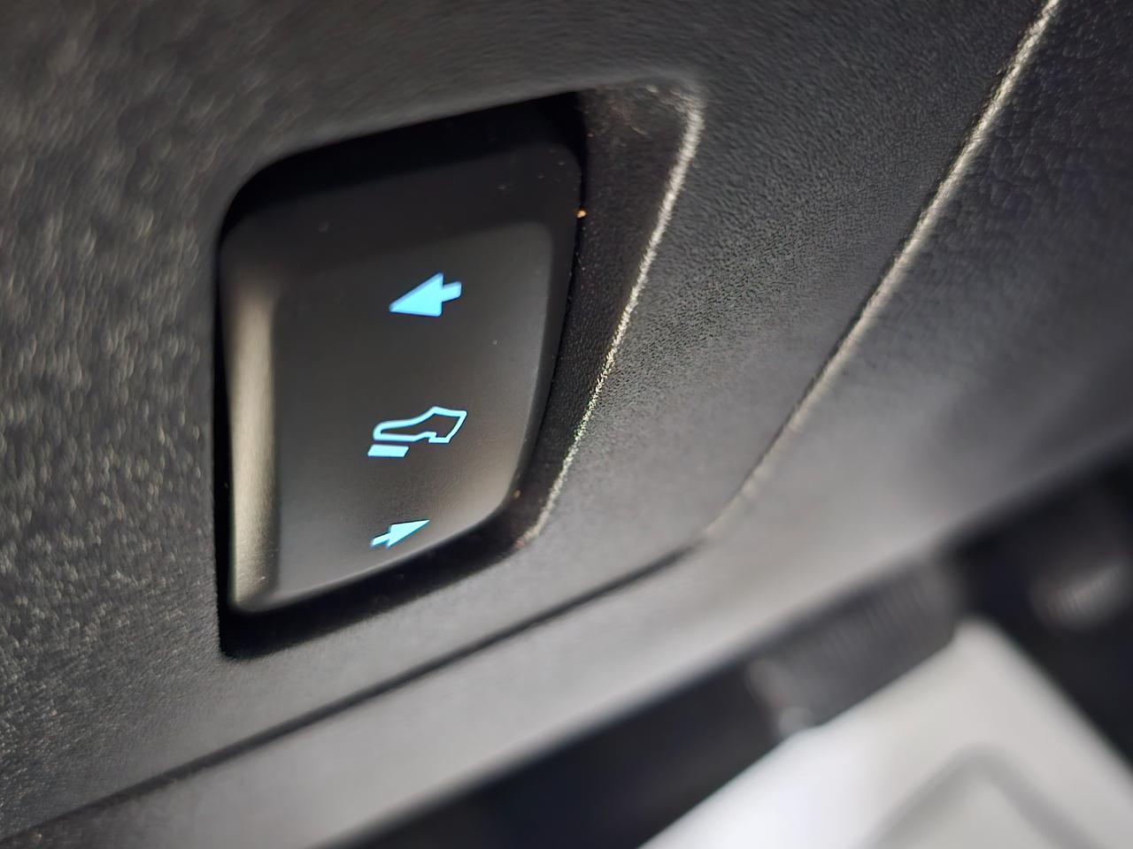 Ford F-150 4WD SuperCrew 145" XLT 2015