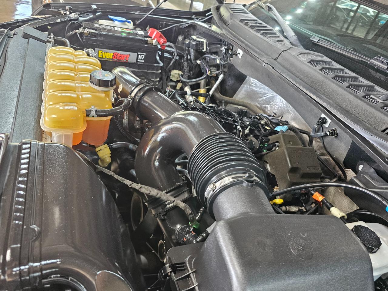 Ford F-150 4WD SuperCrew 145" XLT 2015