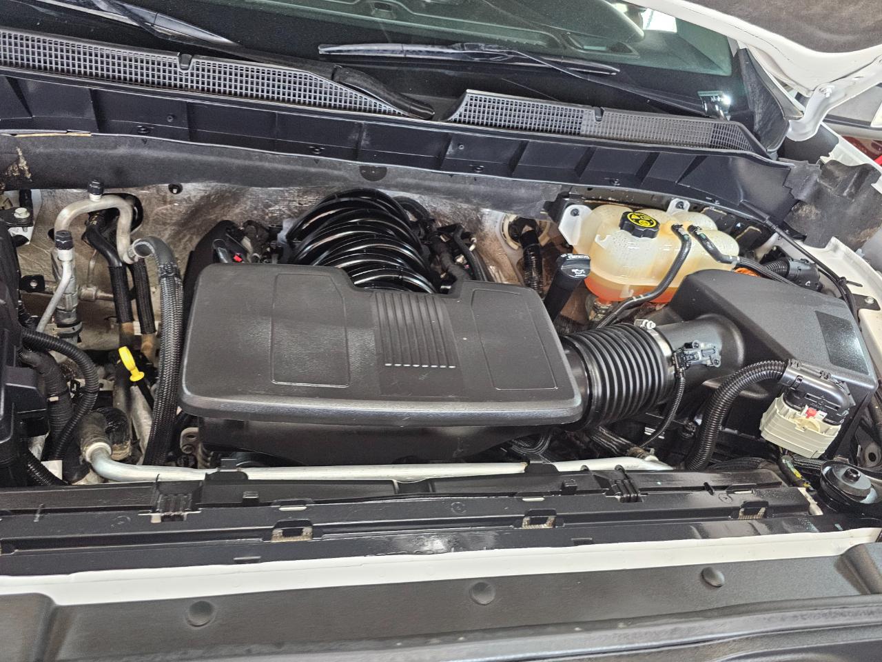 Chevrolet Silverado 1500 4WD Crew Cab 147" Work Truck 2023