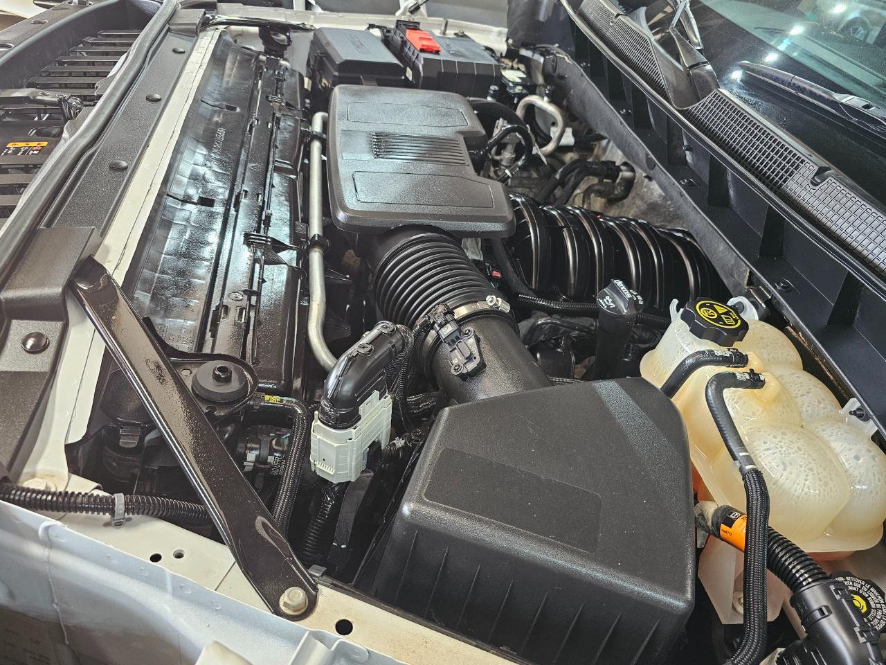 Chevrolet Silverado 1500 4WD Crew Cab 147" Work Truck 2023