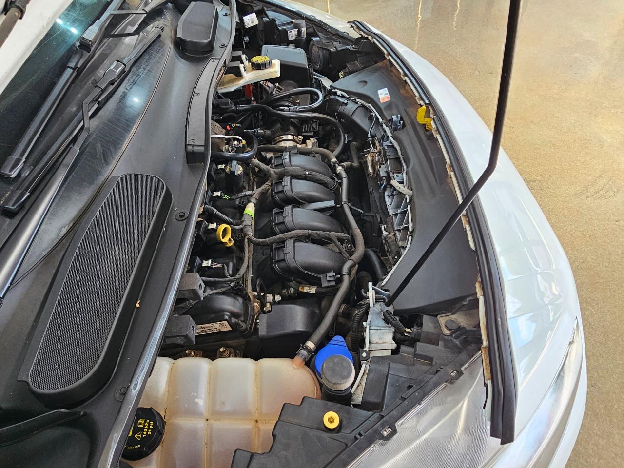 Ford Transit Connect Van XL LWB w/Rear Symmetrical Doors 2020