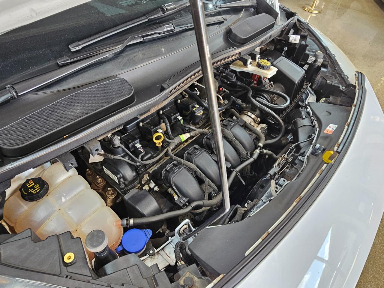 Ford Transit Connect Van XL LWB w/Rear Symmetrical Doors 2020