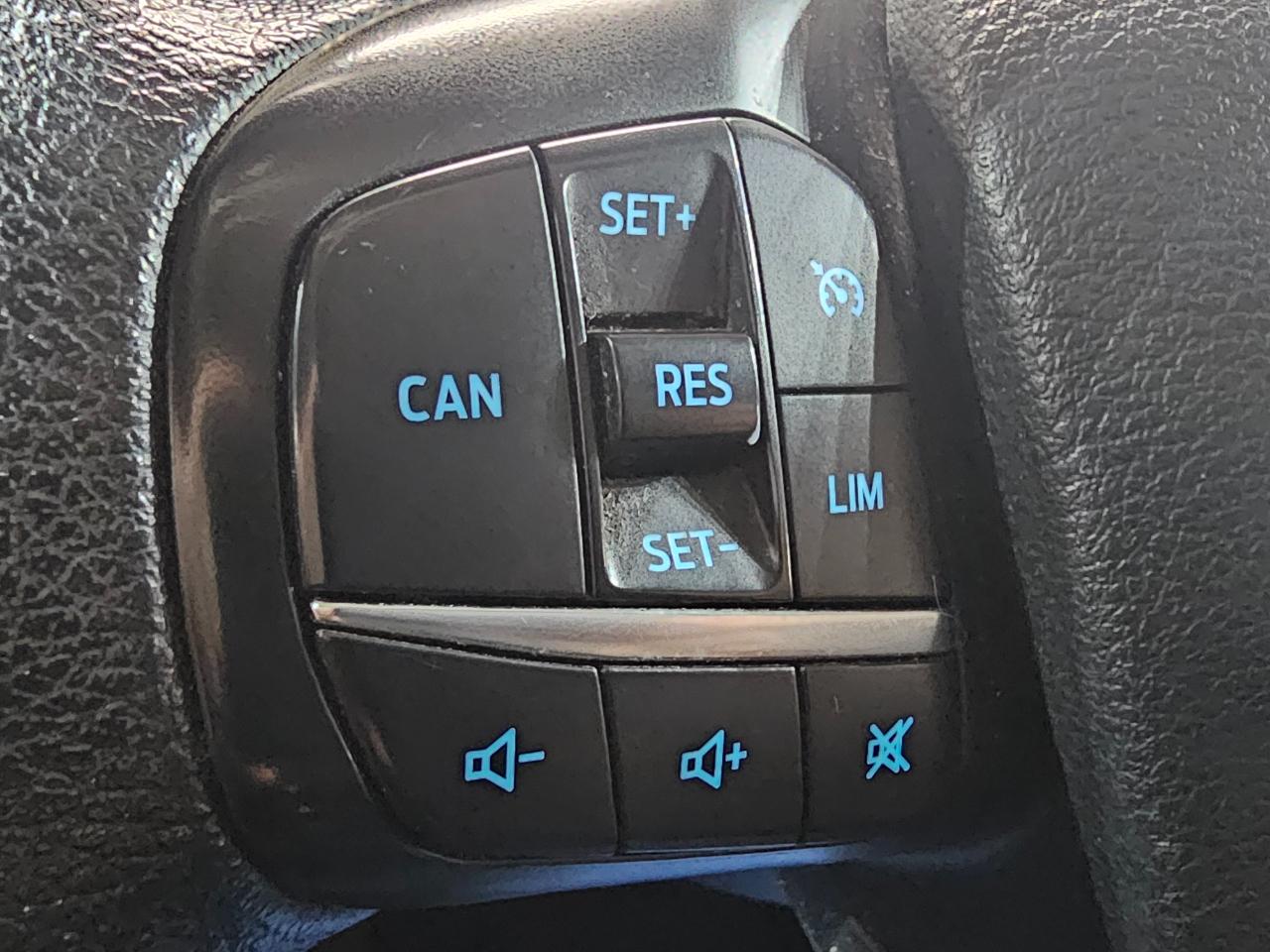 Ford Transit Cargo Van T-250 130" Low Rf 9070 GVWR RWD 2022