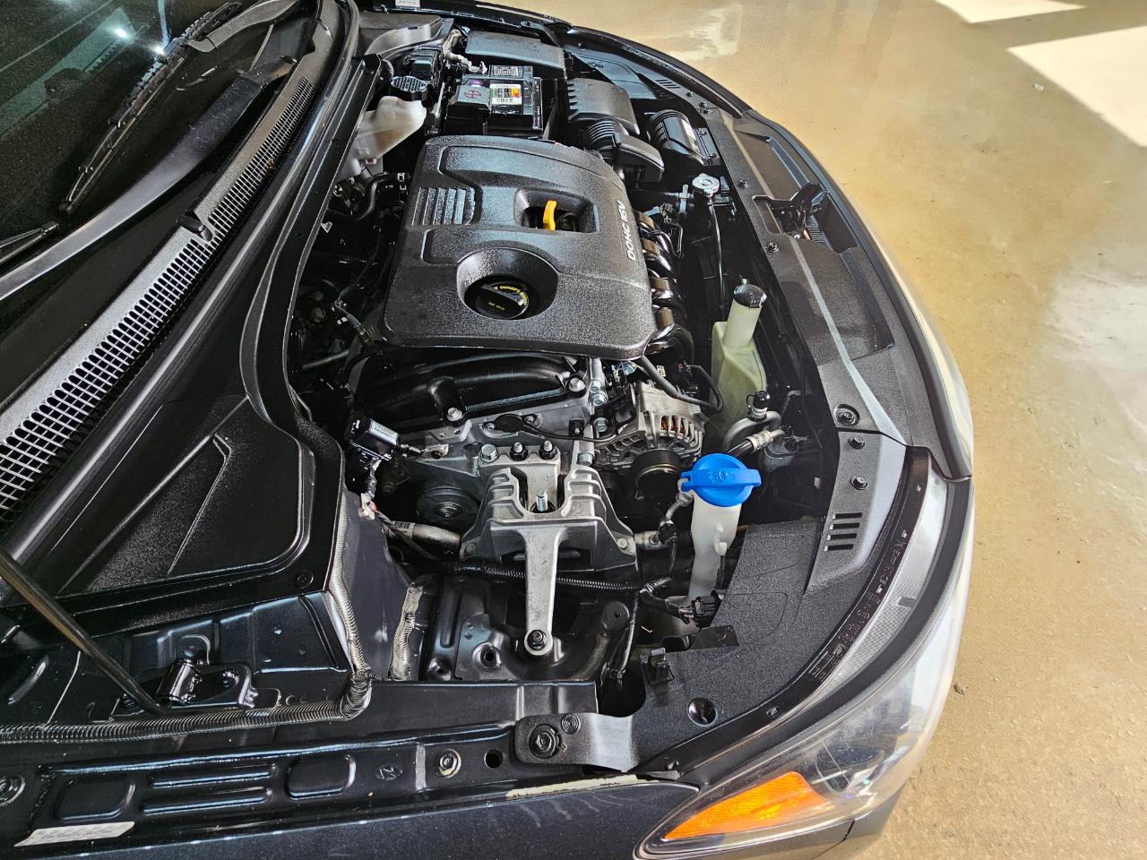 Hyundai Veloster 2.0 Premium Auto 2020