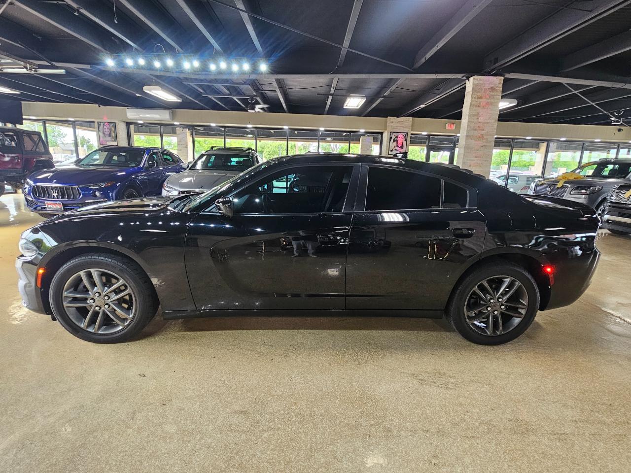 Dodge Charger SXT AWD 2019