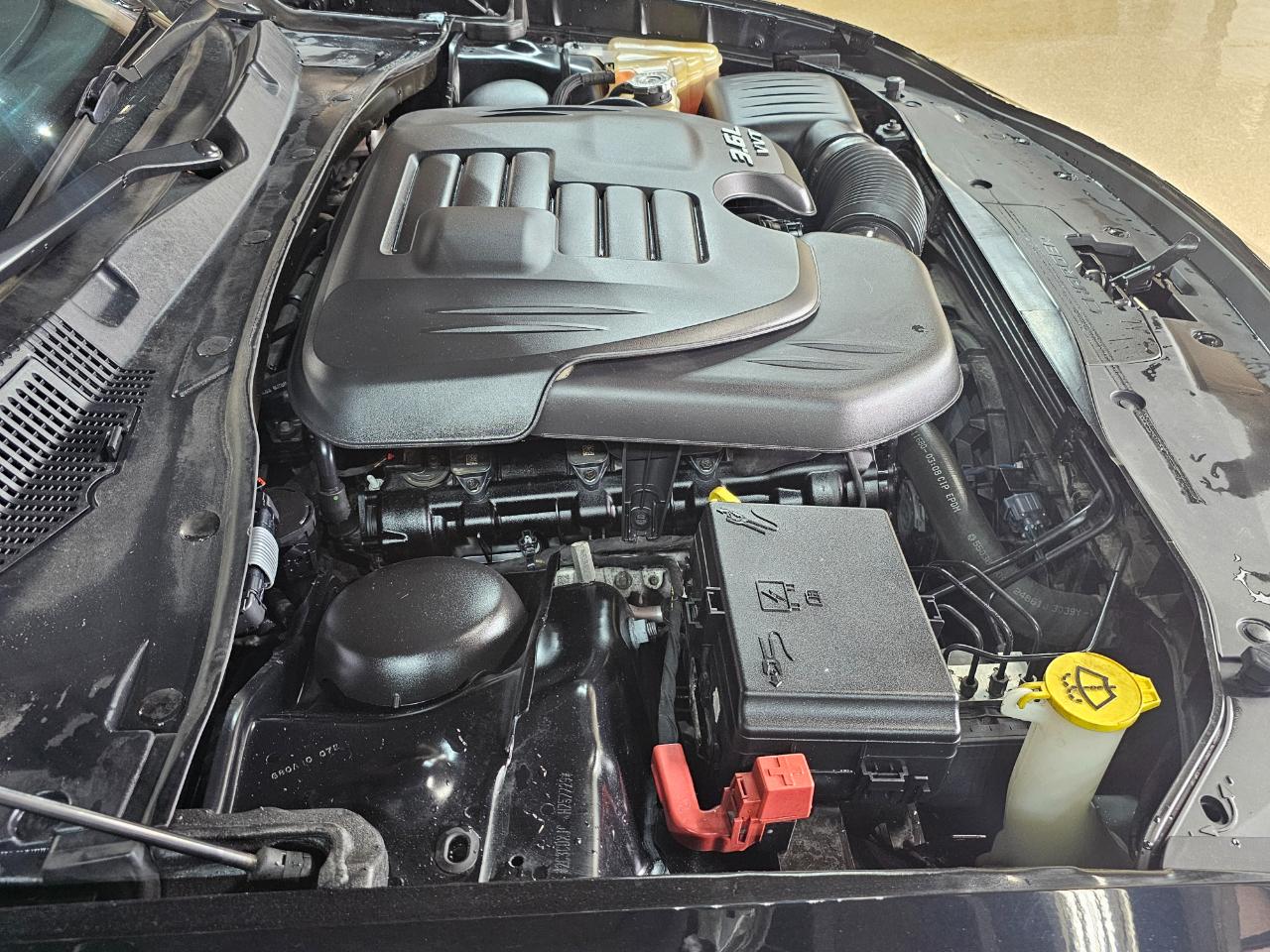 Dodge Charger SXT AWD 2019