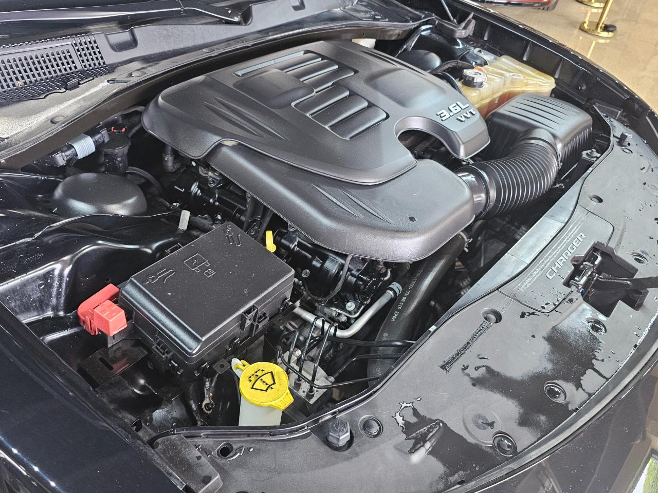 Dodge Charger SXT AWD 2019