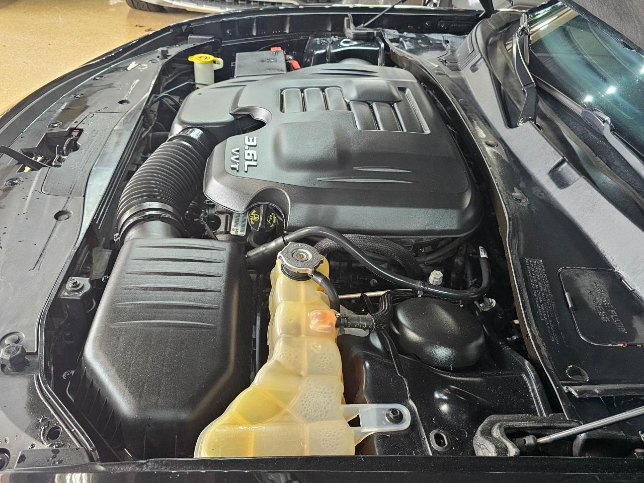 Dodge Charger SXT AWD 2019