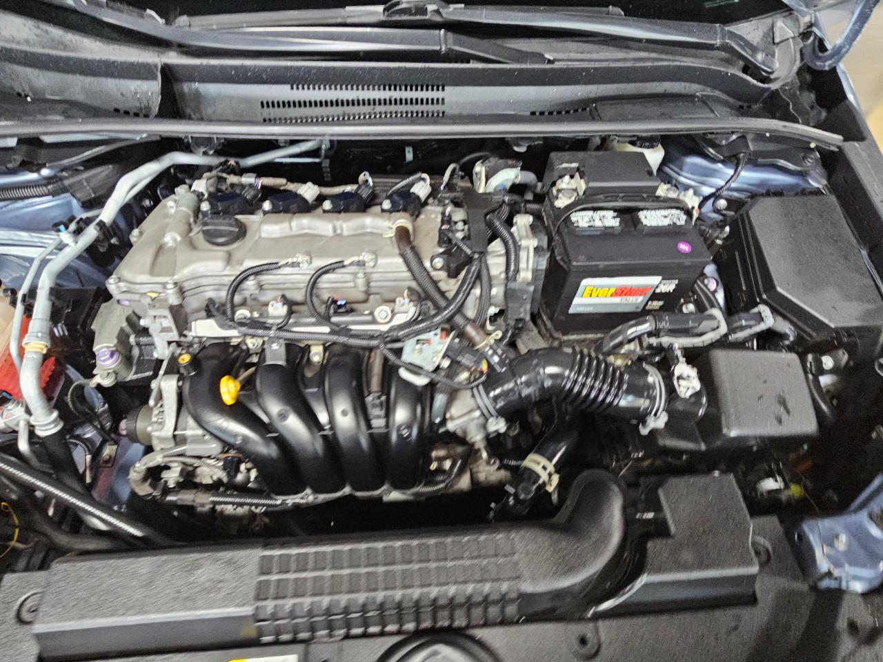 Toyota Corolla LE CVT (Natl) 2021