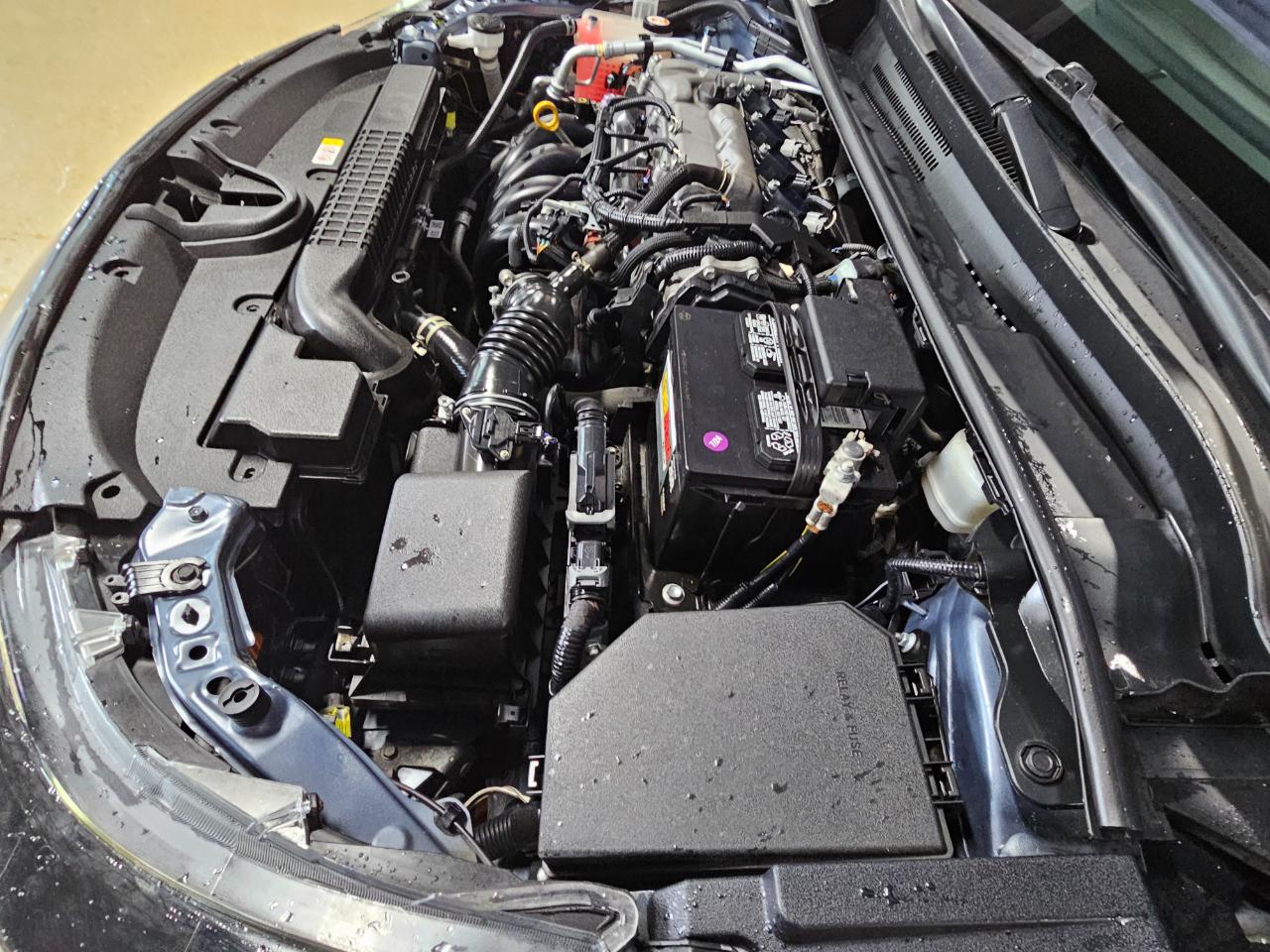 Toyota Corolla LE CVT (Natl) 2021