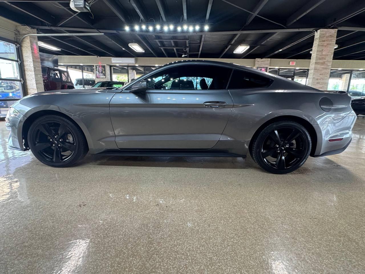 Ford Mustang EcoBoost Fastback 2022
