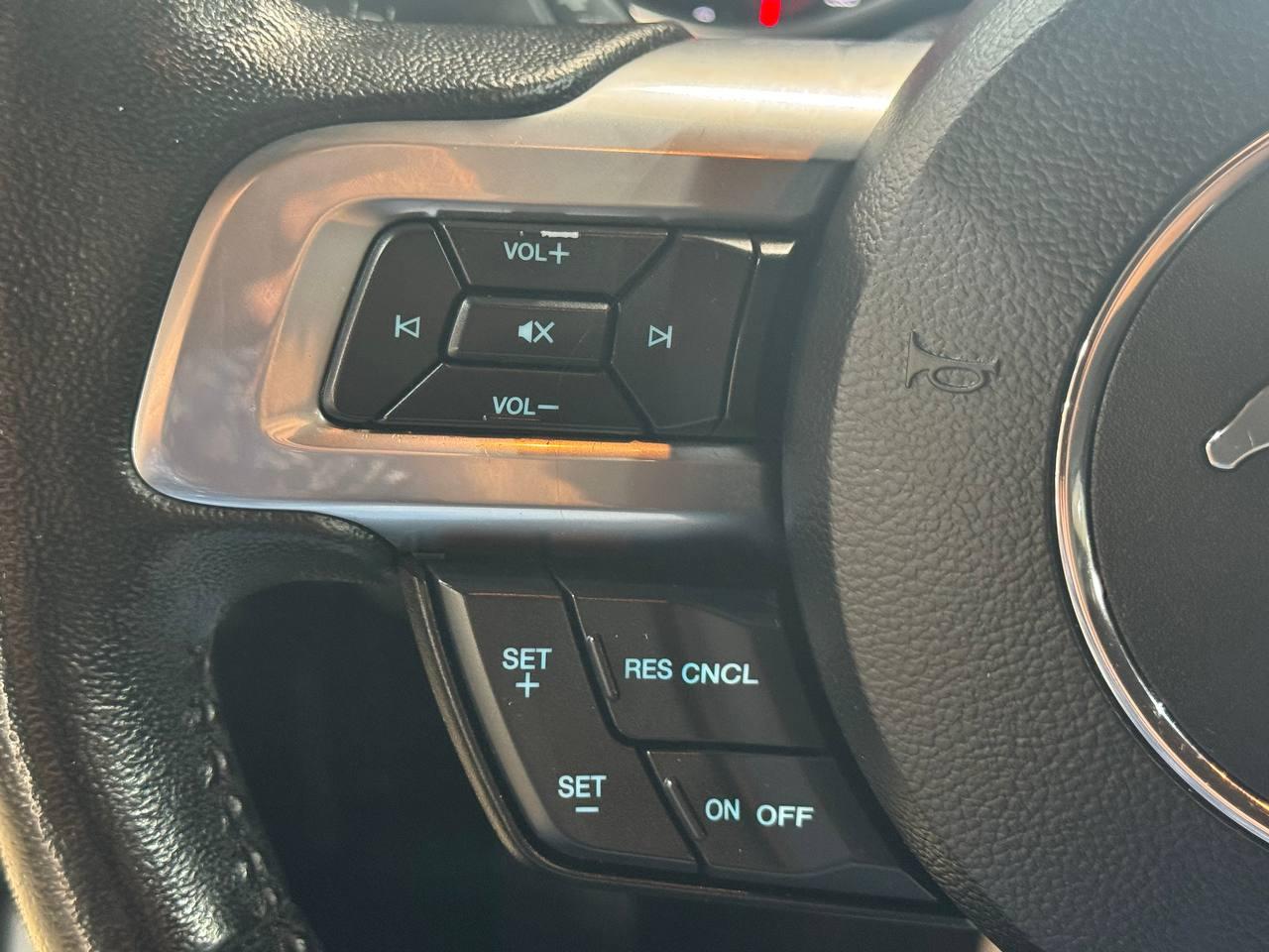 Ford Mustang EcoBoost Fastback 2022