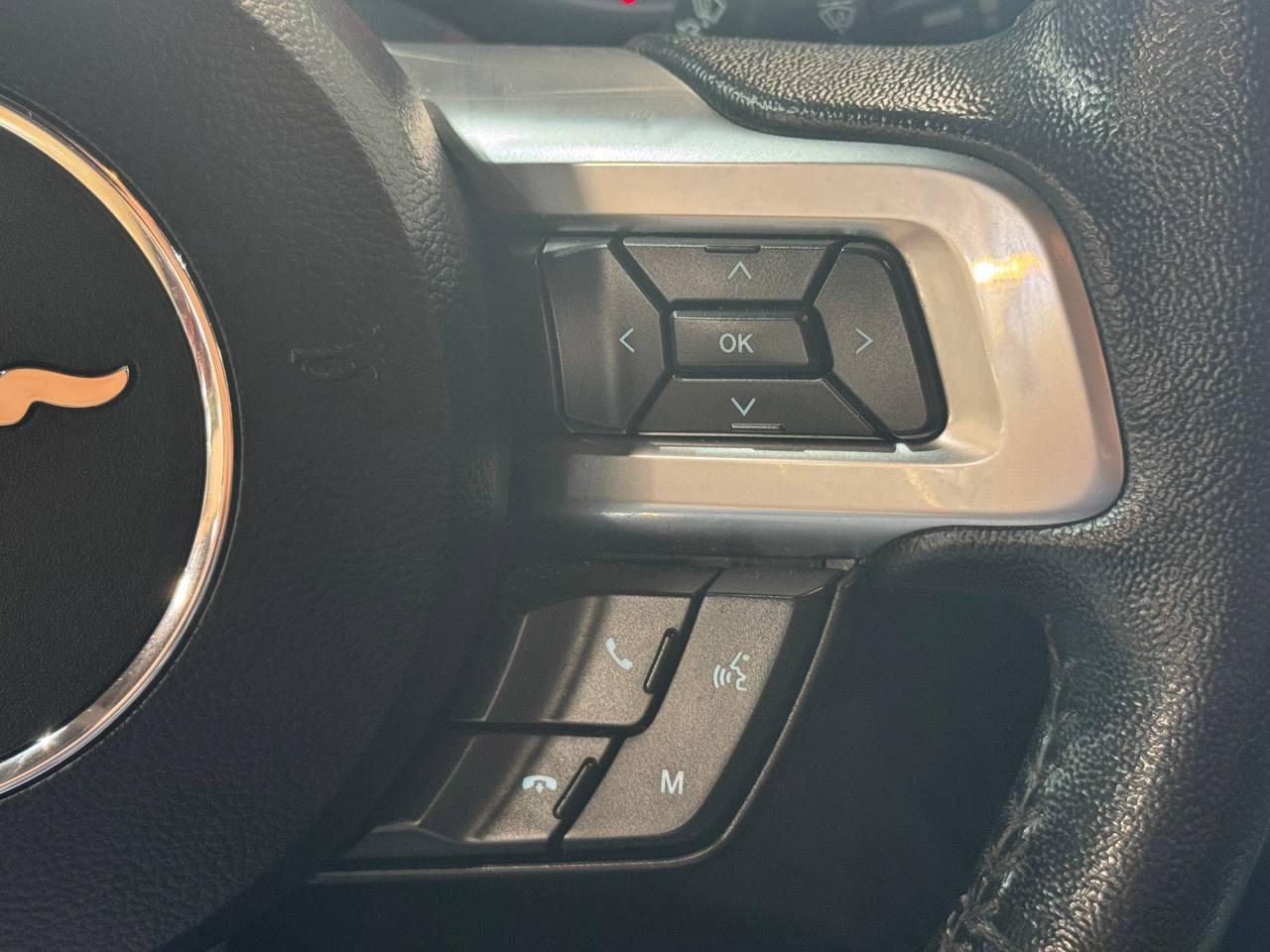 Ford Mustang EcoBoost Fastback 2022