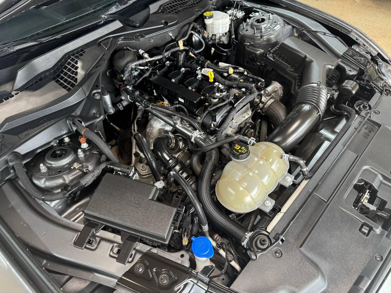 Ford Mustang EcoBoost Fastback 2022