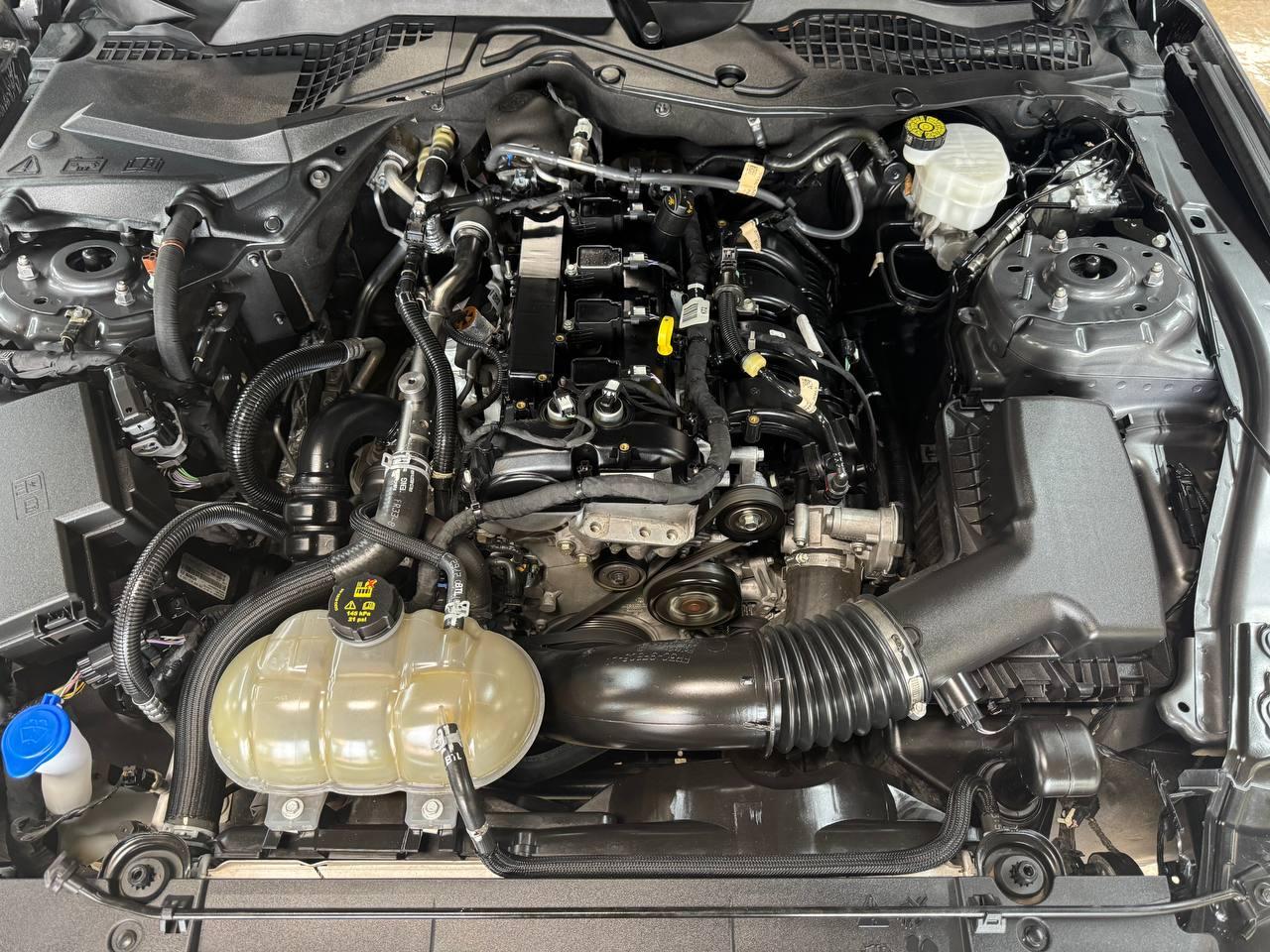 Ford Mustang EcoBoost Fastback 2022