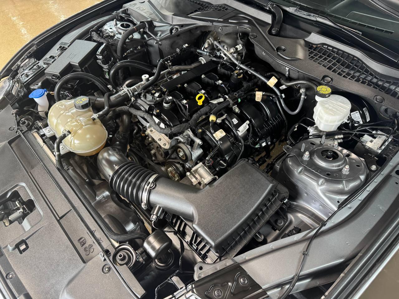 Ford Mustang EcoBoost Fastback 2022